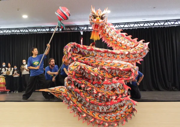 Dragon Show